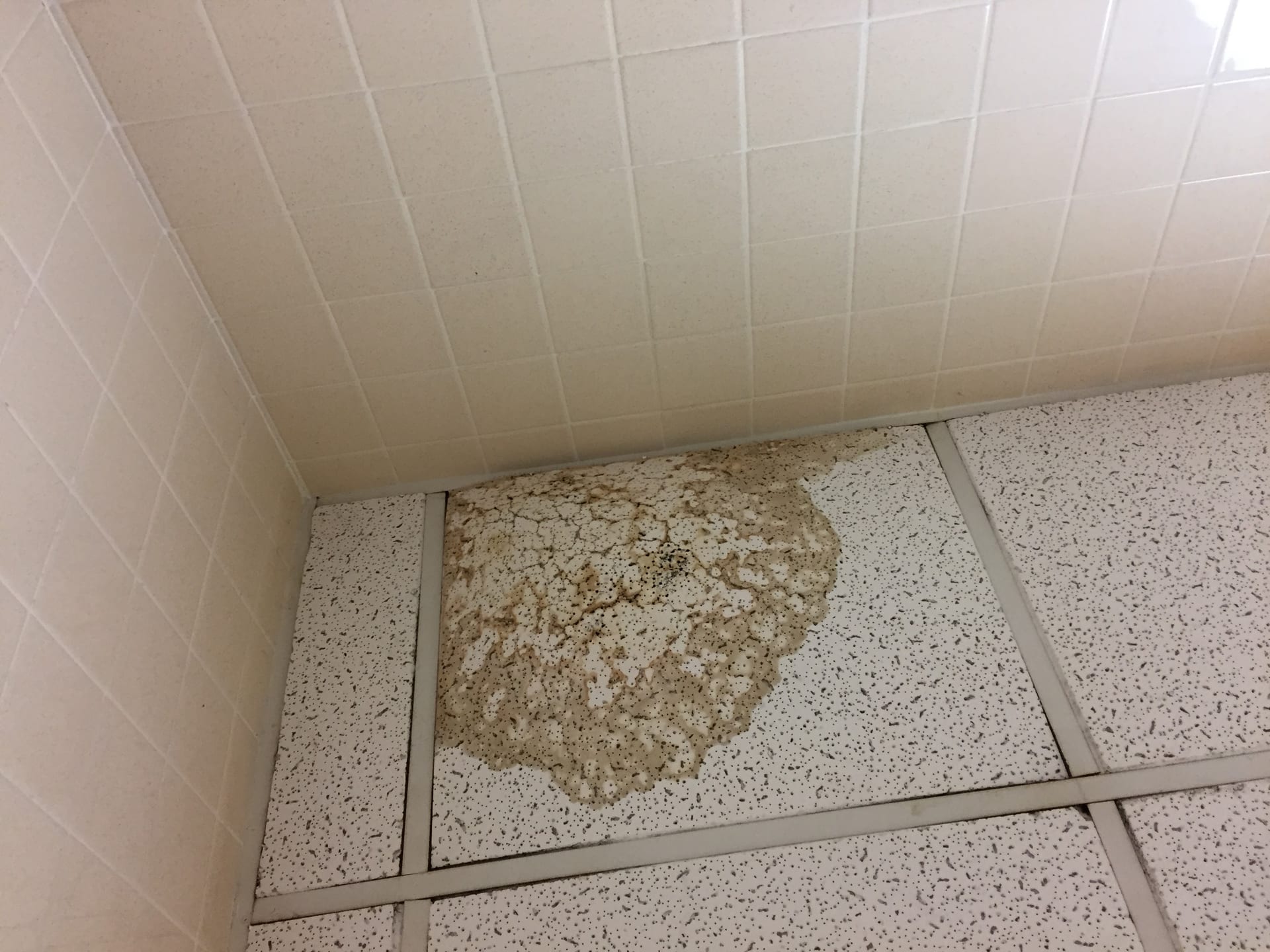 Water staining and damage on an interior ceiling